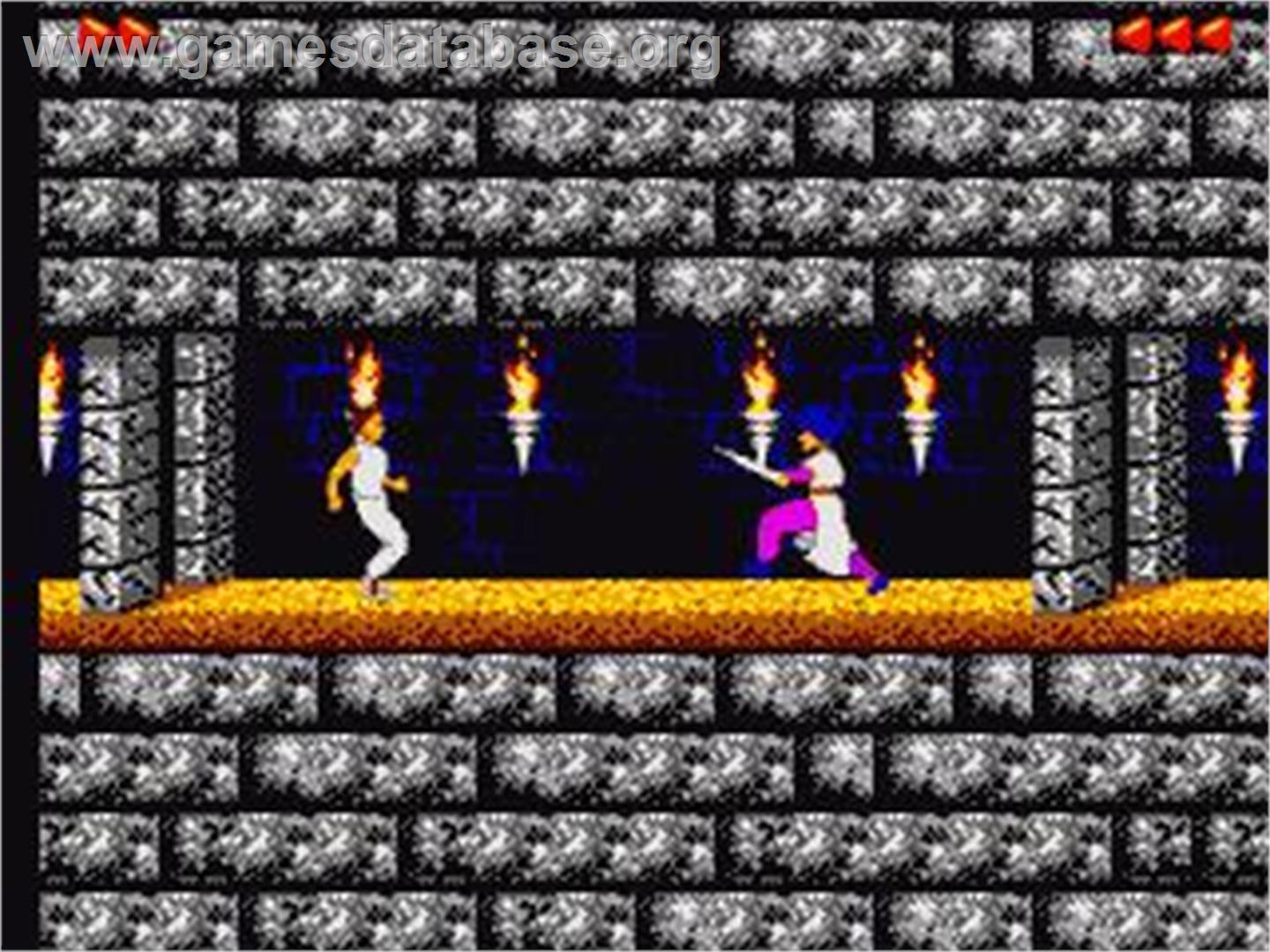 Prince Of Persia - Sega Game Gear - Artwork - In Game