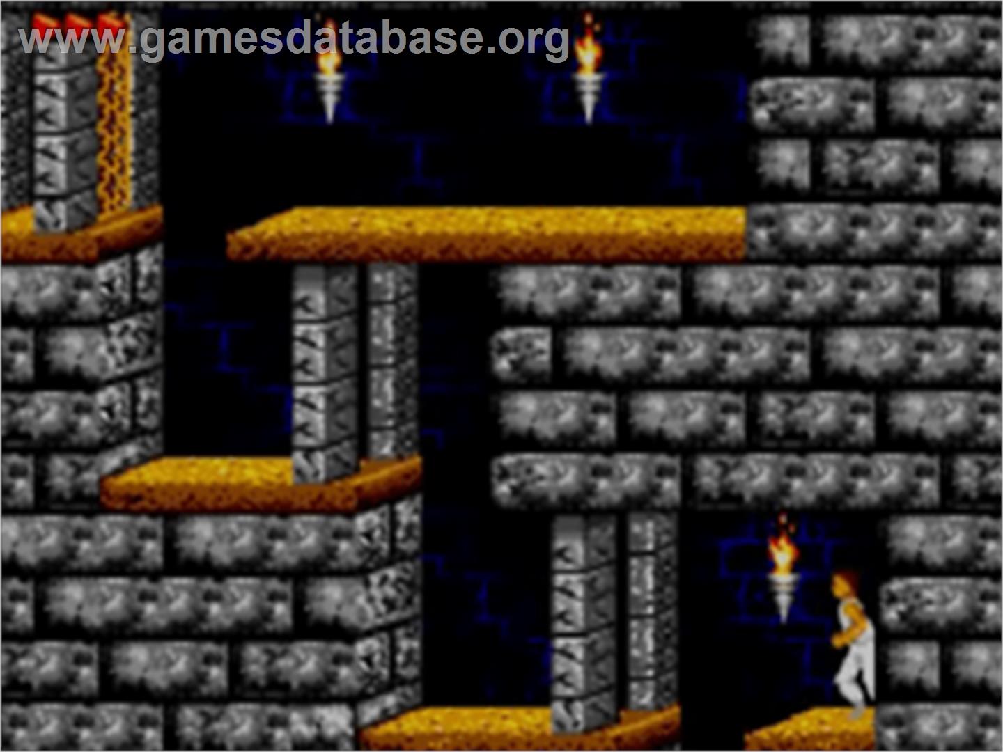 Prince of Persia - Sega Game Gear - Artwork - In Game