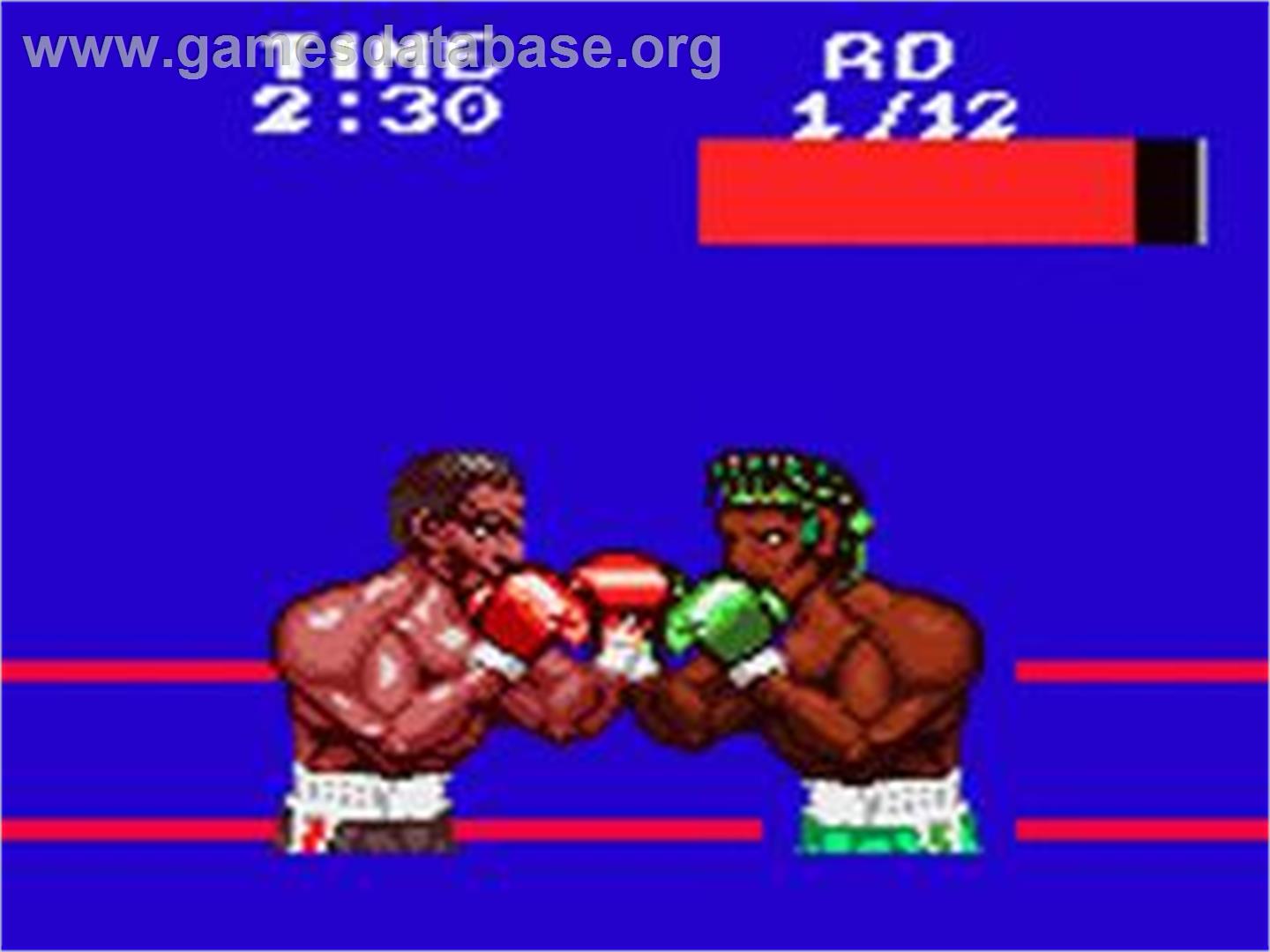 Riddick Bowe Boxing - Sega Game Gear - Artwork - In Game