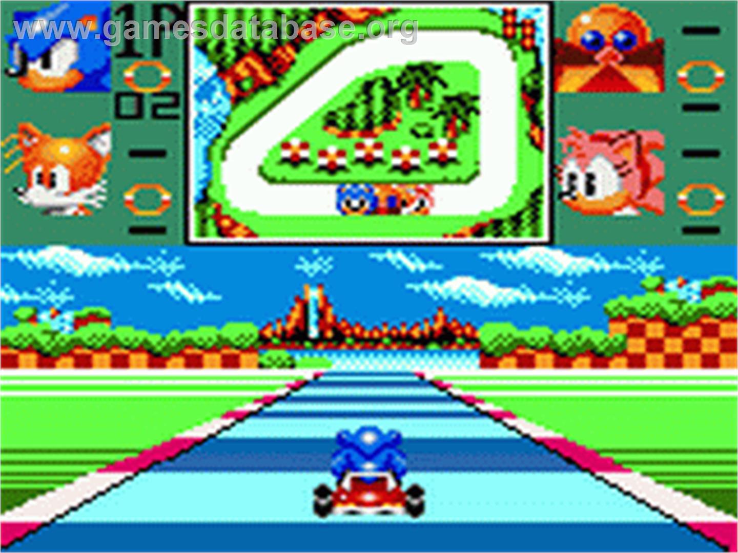 Sonic Drift - Sega Game Gear - Artwork - In Game