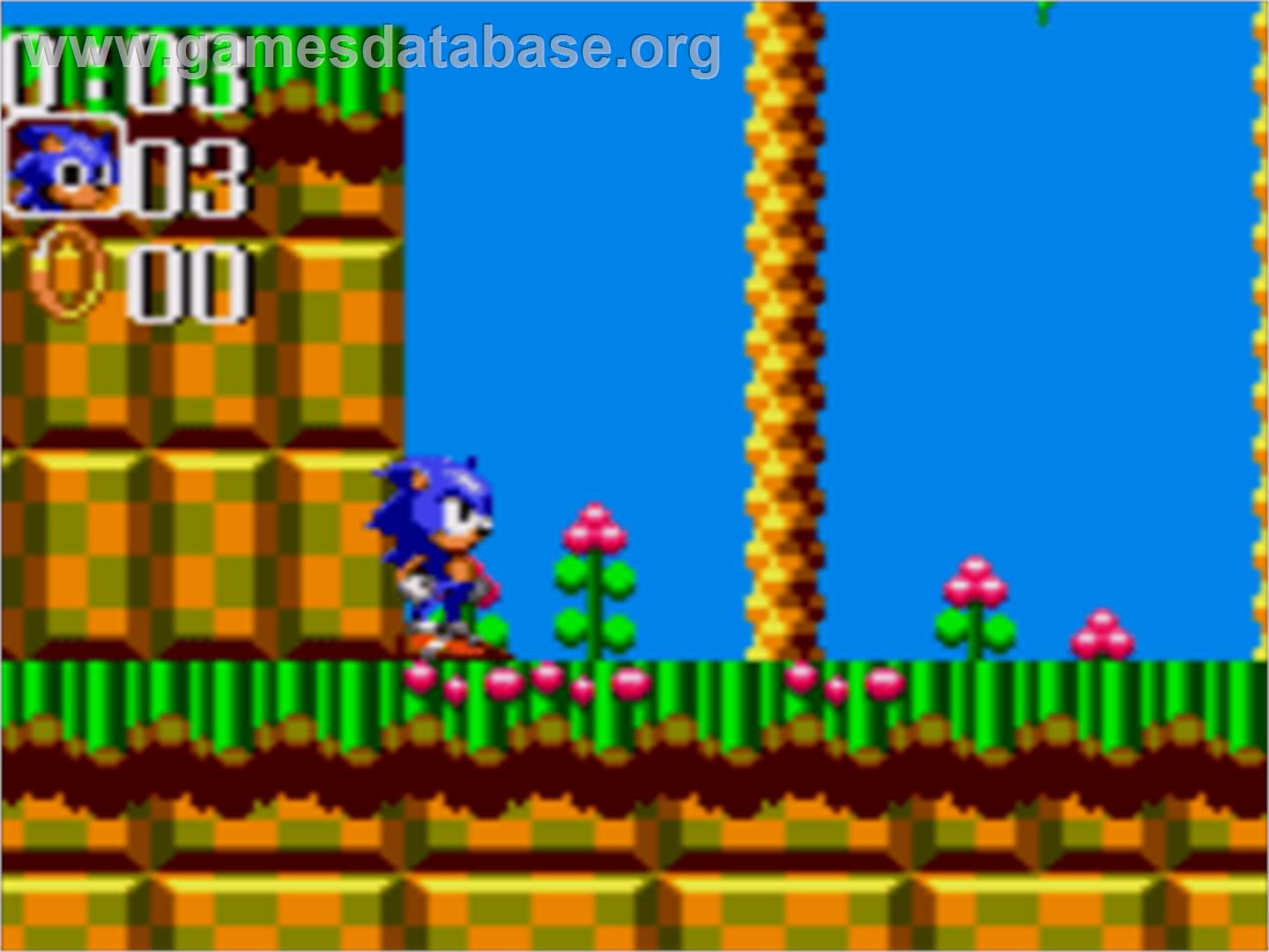 Sonic the Hedgehog Chaos - Sega Game Gear - Artwork - In Game