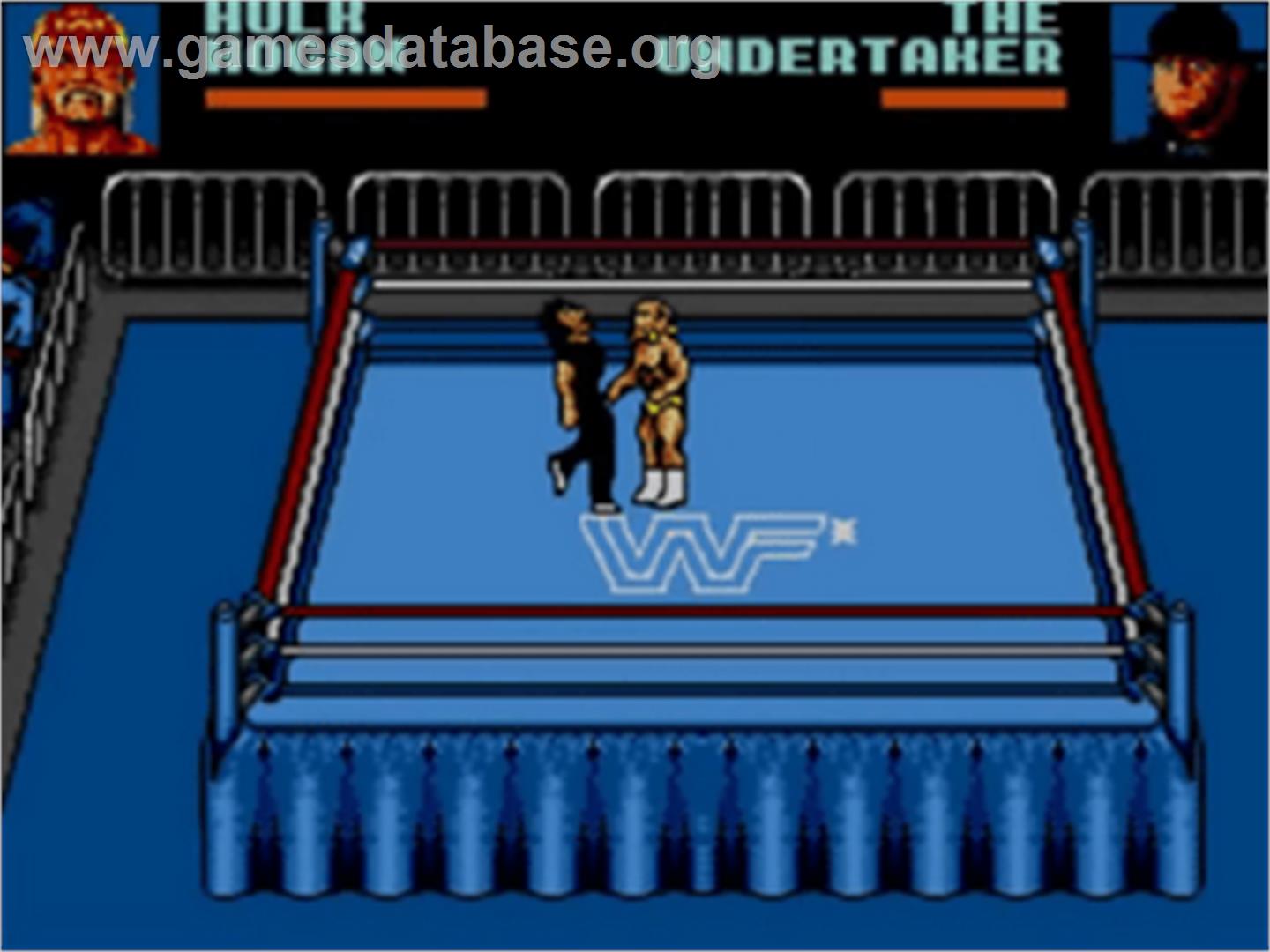 WWF Wrestlemania: Steel Cage Challenge - Sega Game Gear - Artwork - In Game
