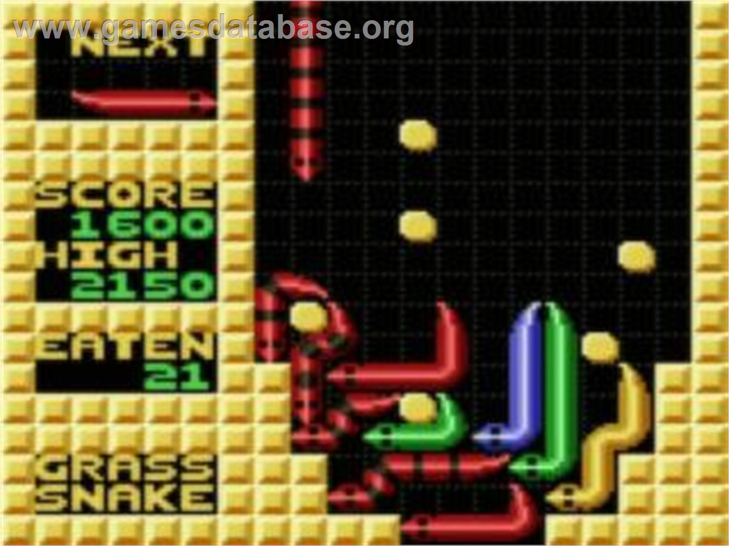Wild Snake - Sega Game Gear - Artwork - In Game