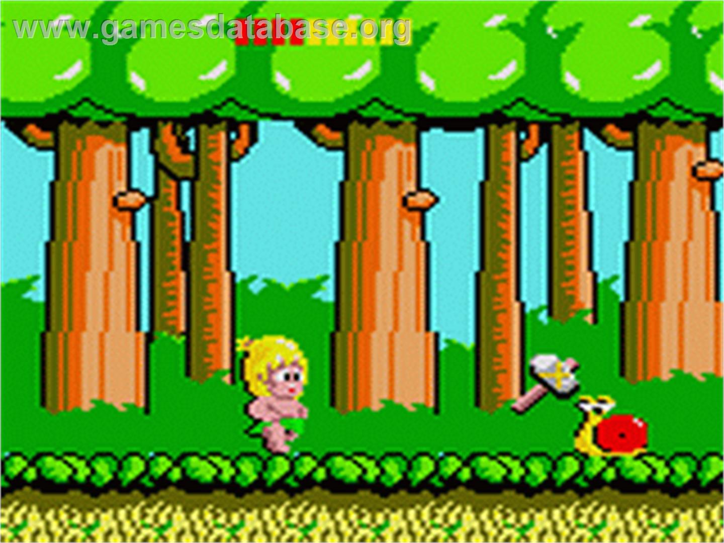 Wonder Boy - Sega Game Gear - Artwork - In Game