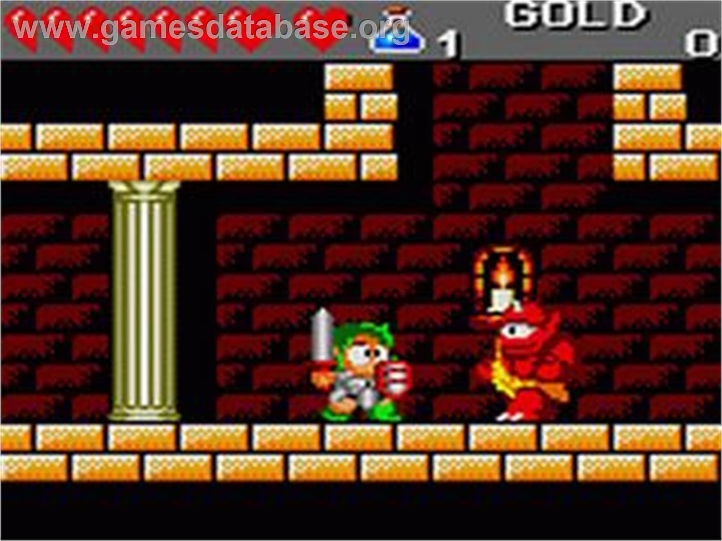 Wonder Boy - The Dragon's Trap - Sega Game Gear - Artwork - In Game