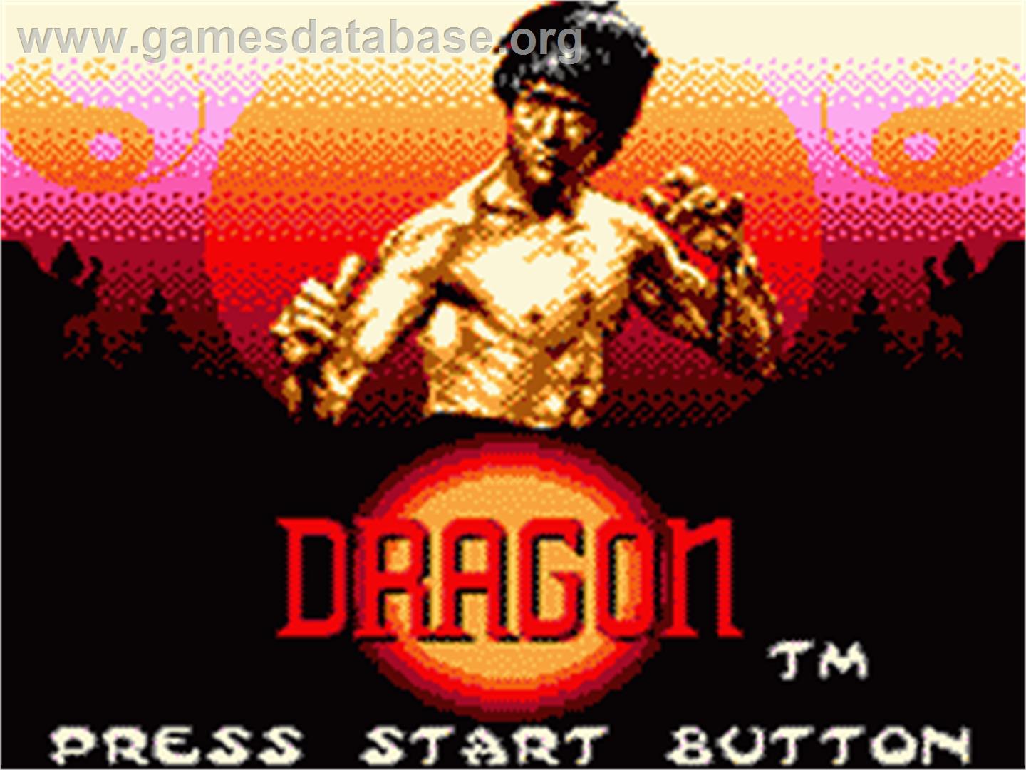 Dragon: The Bruce Lee Story - Sega Game Gear - Artwork - Title Screen