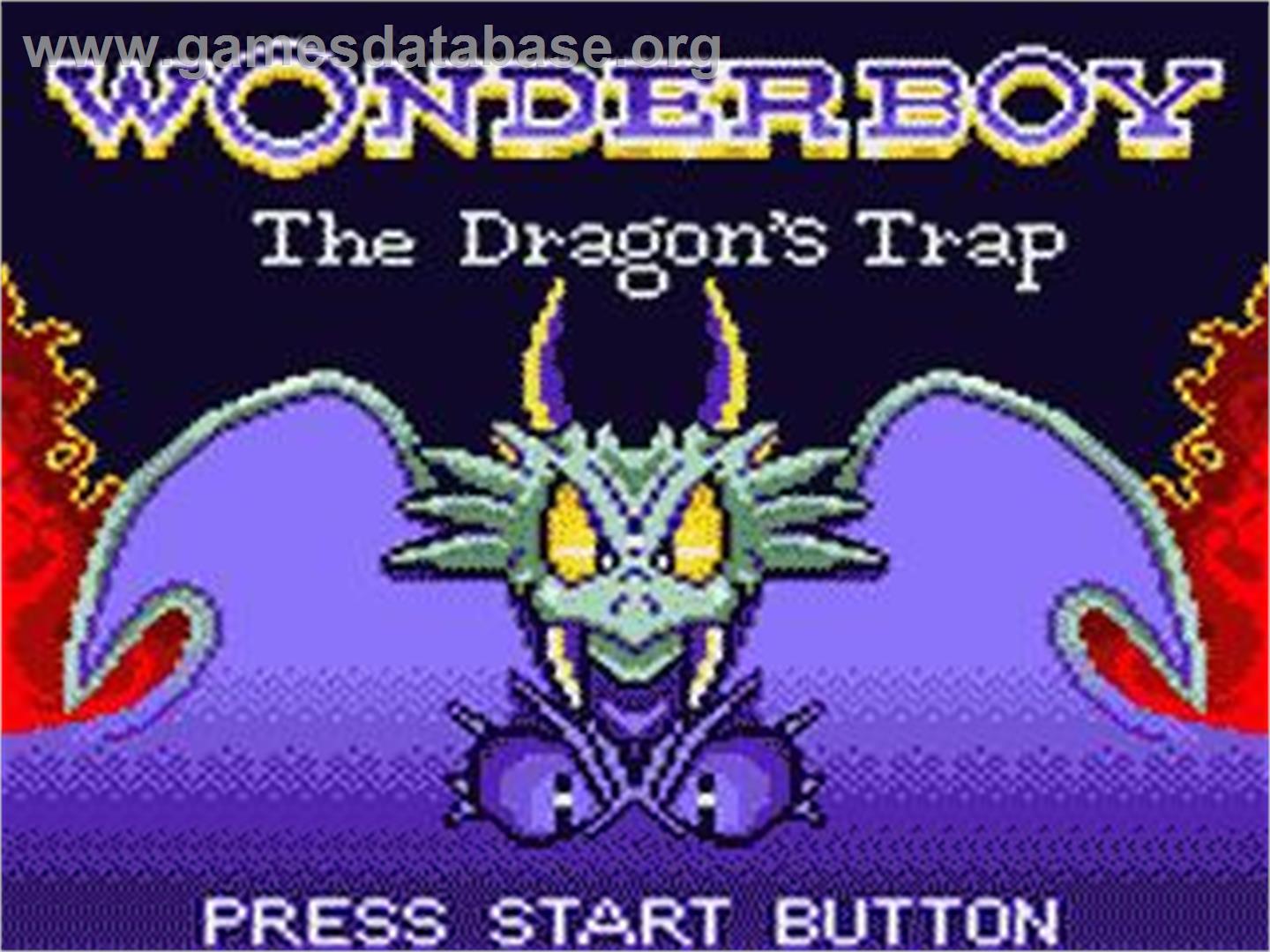 Wonder Boy - The Dragon's Trap - Sega Game Gear - Artwork - Title Screen
