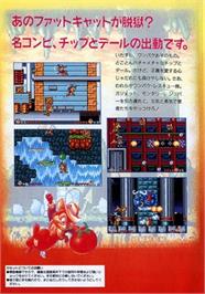Box back cover for Squirrel King on the Sega Genesis.