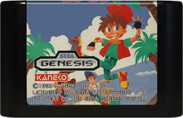 Cartridge artwork for Dj Boy on the Sega Genesis.