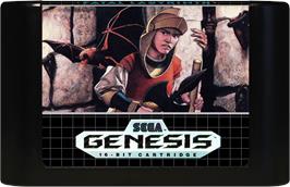 Cartridge artwork for Shi No Meikyu - Labyrinth Of Death on the Sega Genesis.