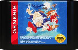 Cartridge artwork for Wiz 'n' Liz: The Frantic Wabbit Wescue on the Sega Genesis.