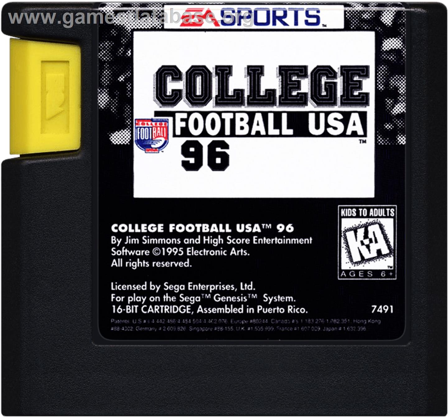 College Football Usa 96 - Sega Genesis - Artwork - Cartridge