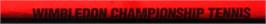 Top of cartridge artwork for Wimbledon on the Sega Genesis.