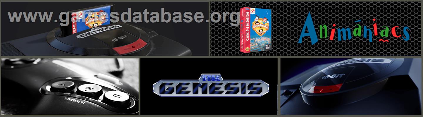 Animaniacs - Sega Genesis - Artwork - Marquee