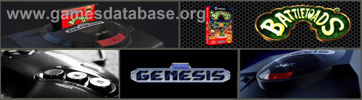 Battletoads - Sega Genesis - Artwork - Marquee