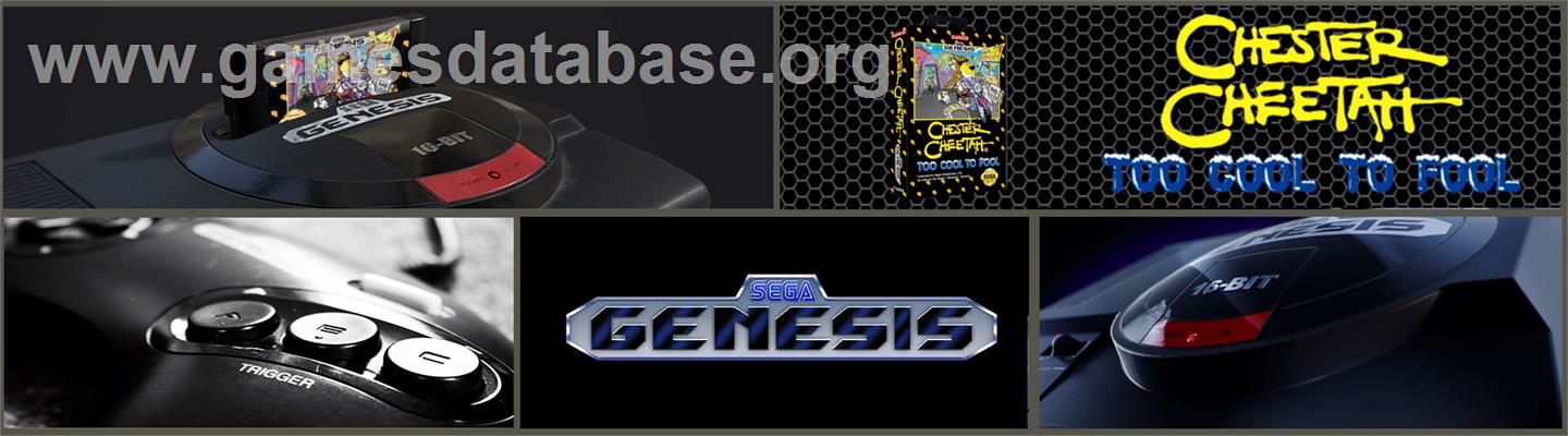 Chester Cheetah: Too Cool to Fool - Sega Genesis - Artwork - Marquee