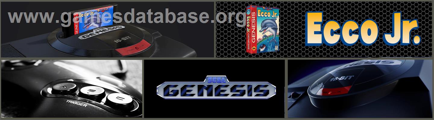 Ecco Jr. - Sega Genesis - Artwork - Marquee