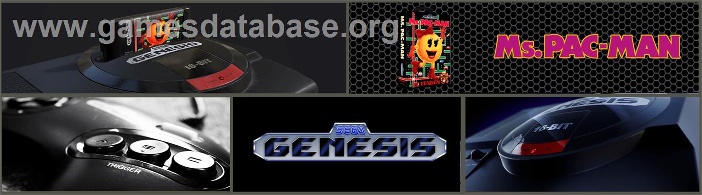 Ms. Pac-Man - Sega Genesis - Artwork - Marquee