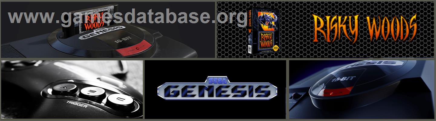 Risky Woods - Sega Genesis - Artwork - Marquee