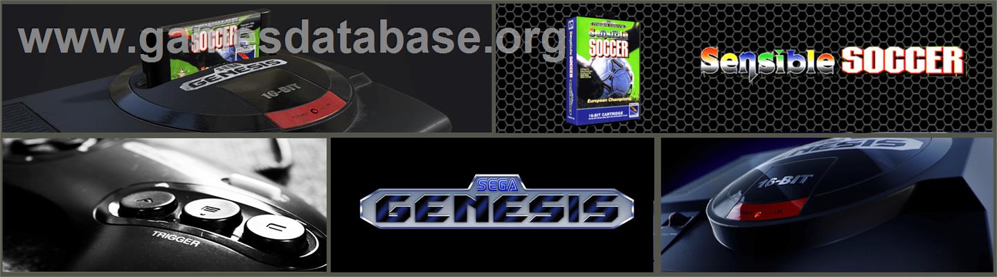 Sensible Soccer: European Champions: 92/93 Edition - Sega Genesis - Artwork - Marquee