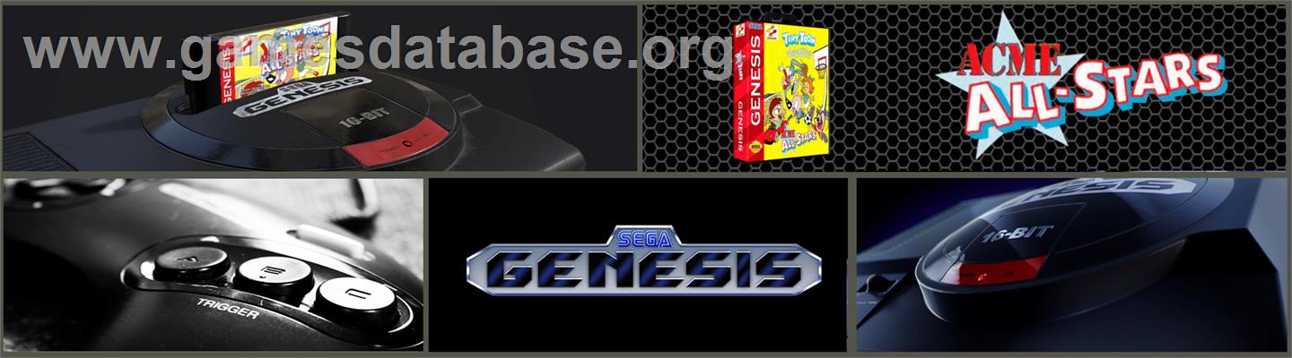 Tiny Toon Adventures: Acme All-Stars - Sega Genesis - Artwork - Marquee