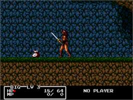 In game image of Cadash on the Sega Genesis.