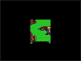 In game image of Dragon Slayer - Eiyuu Densetsu on the Sega Genesis.