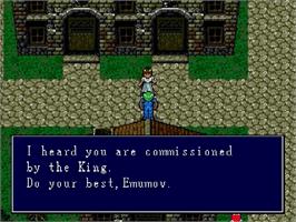 In game image of Sorcerer's Kingdom on the Sega Genesis.
