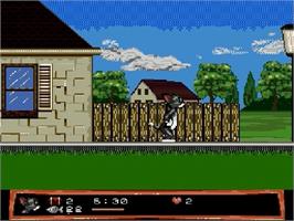 In game image of Tom And Jerry - Frantic Antics on the Sega Genesis.