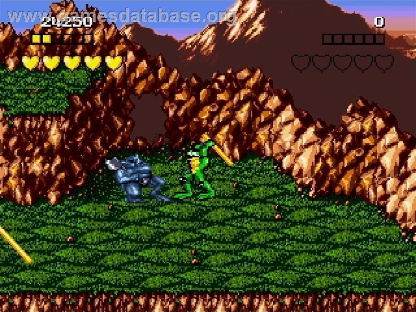 Battletoads - Sega Genesis - Artwork - In Game