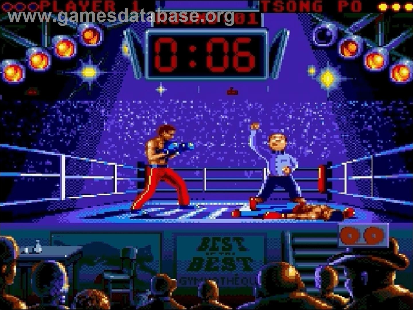 Best of the Best Championship Karate - Sega Genesis - Artwork - In Game