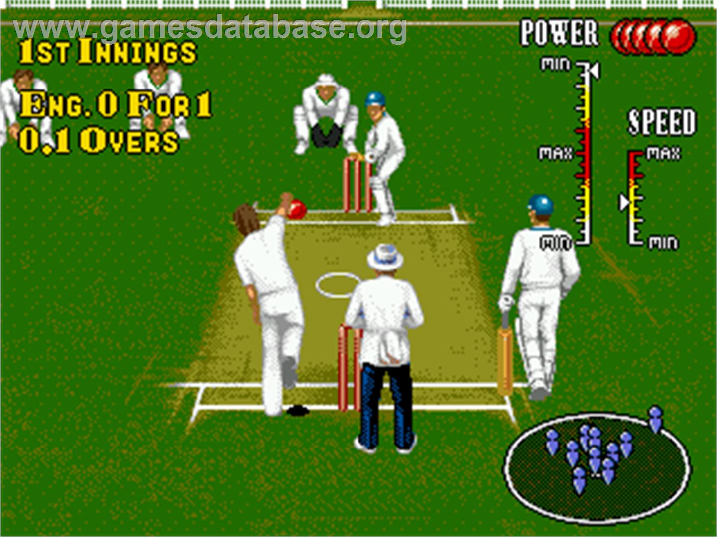 Brian Lara Cricket - Sega Genesis - Artwork - In Game