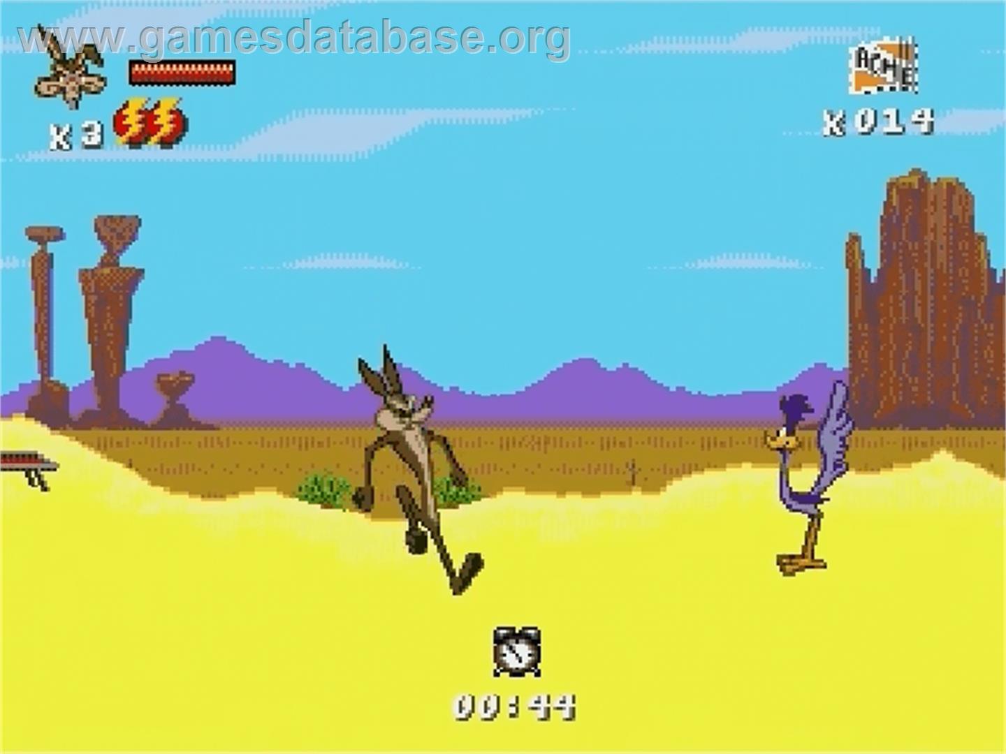 Desert Demolition Starring Road Runner And Wile E. Coyote - Sega Genesis - Artwork - In Game