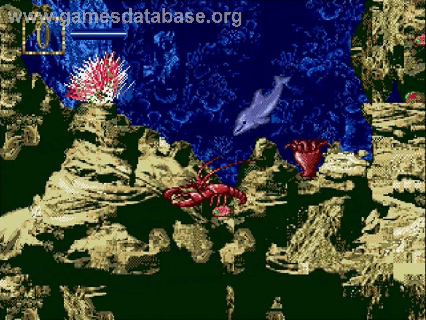 Ecco Jr. - Sega Genesis - Artwork - In Game