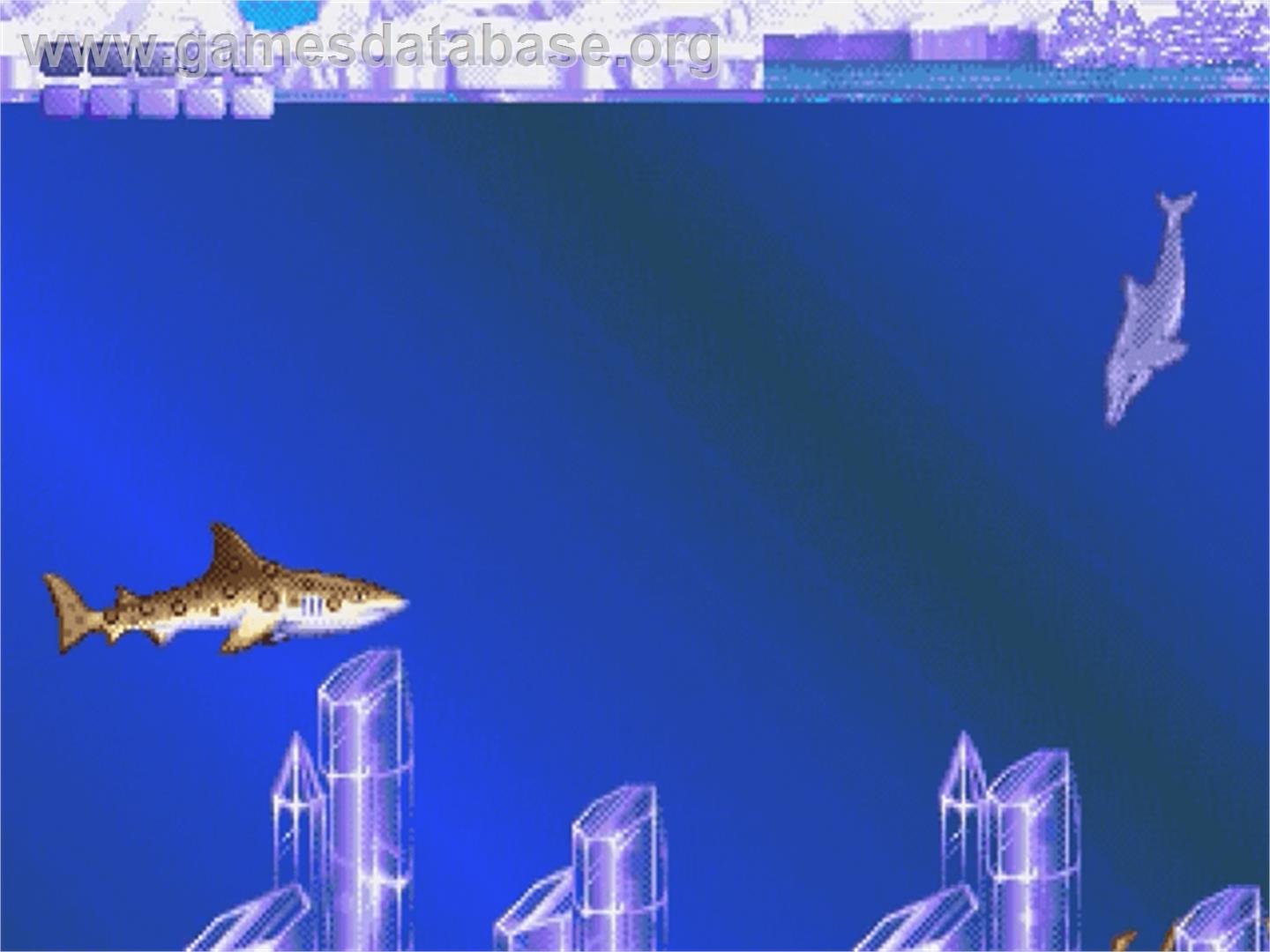 Ecco the Dolphin - Sega Genesis - Artwork - In Game