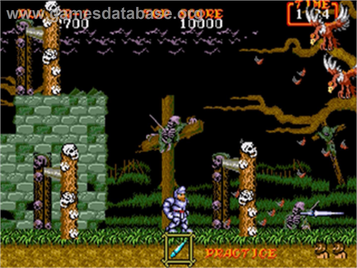 Ghouls'n Ghosts - Sega Genesis - Artwork - In Game