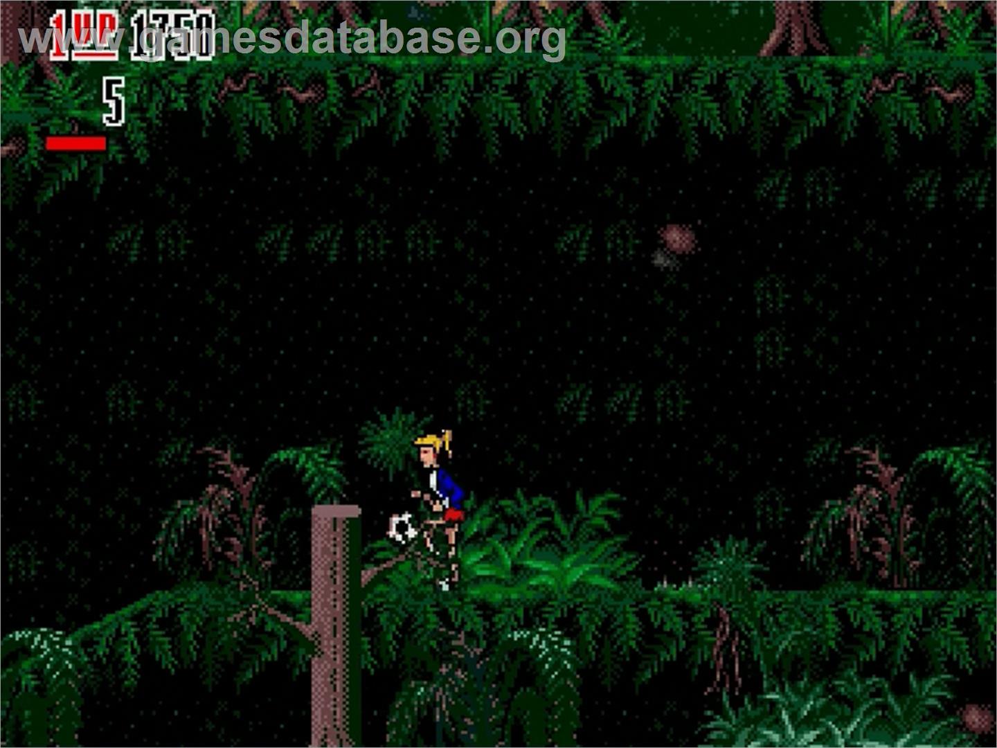 Hurricanes - Sega Genesis - Artwork - In Game