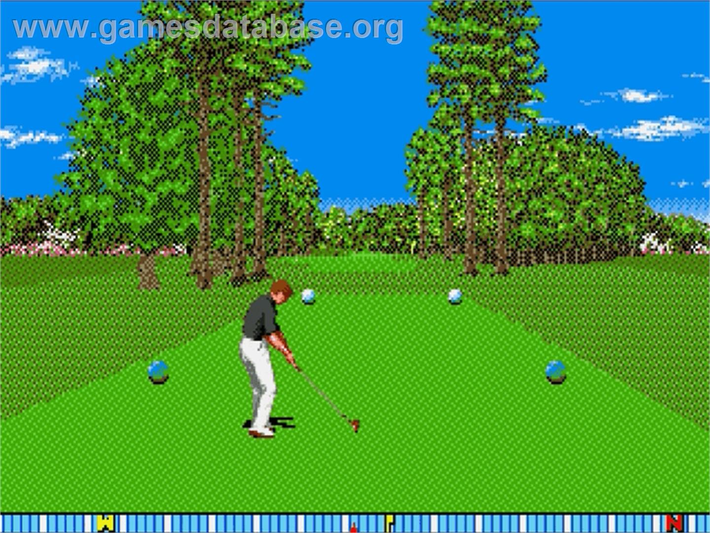 New 3d Golf Simulation - Harukanaru Augusta - Sega Genesis - Artwork - In Game