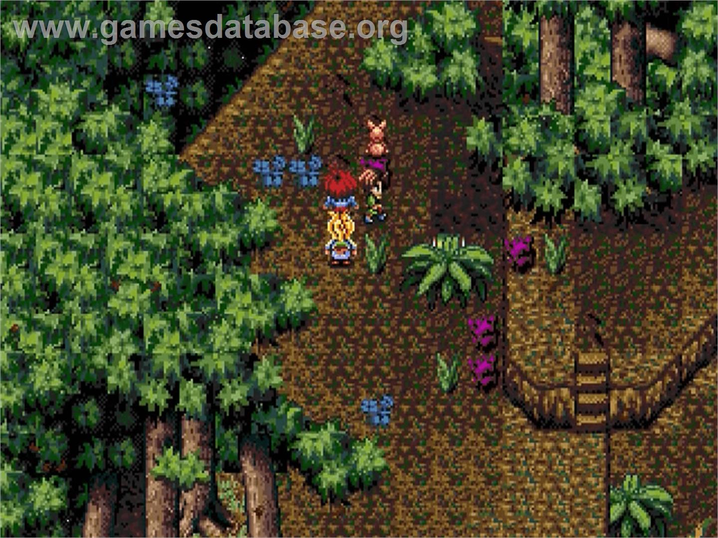 Pier Solar And The Great Architects - Sega Genesis - Artwork - In Game