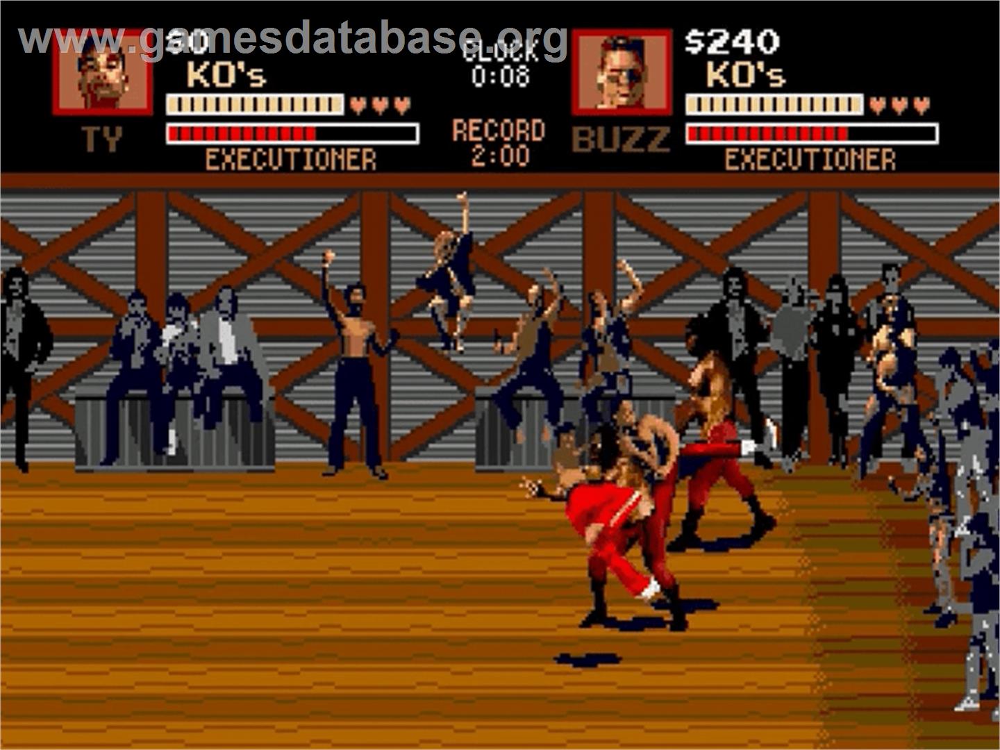 Pit-fighter - Sega Genesis - Artwork - In Game