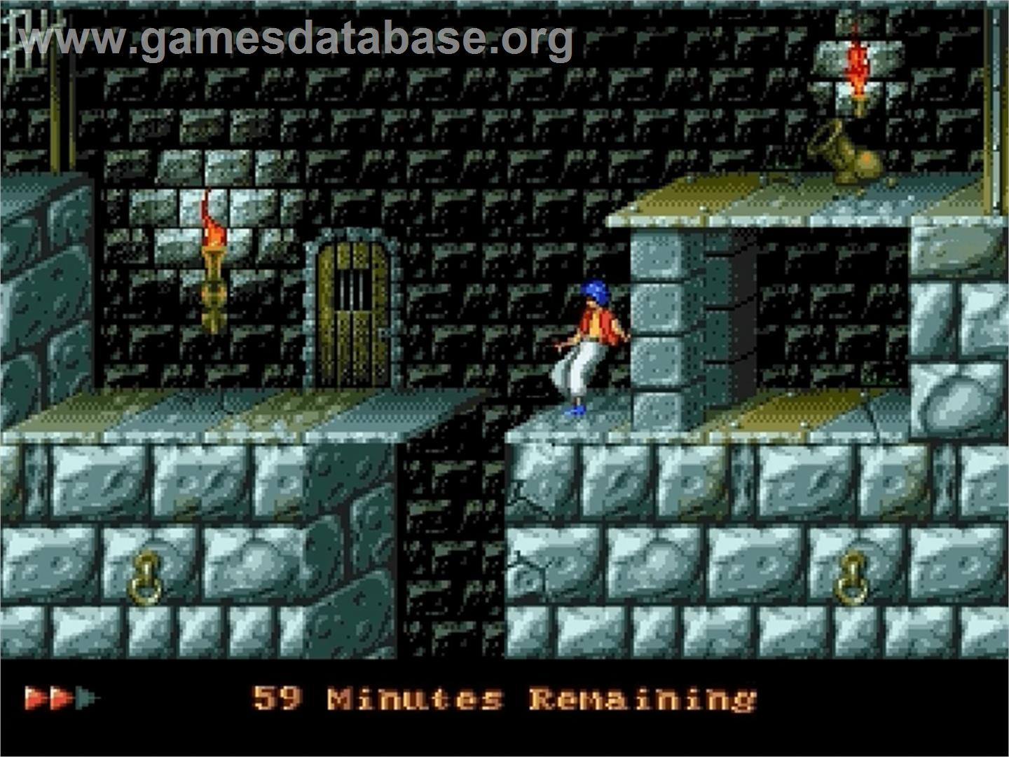 Prince Of Persia - Sega Genesis - Artwork - In Game