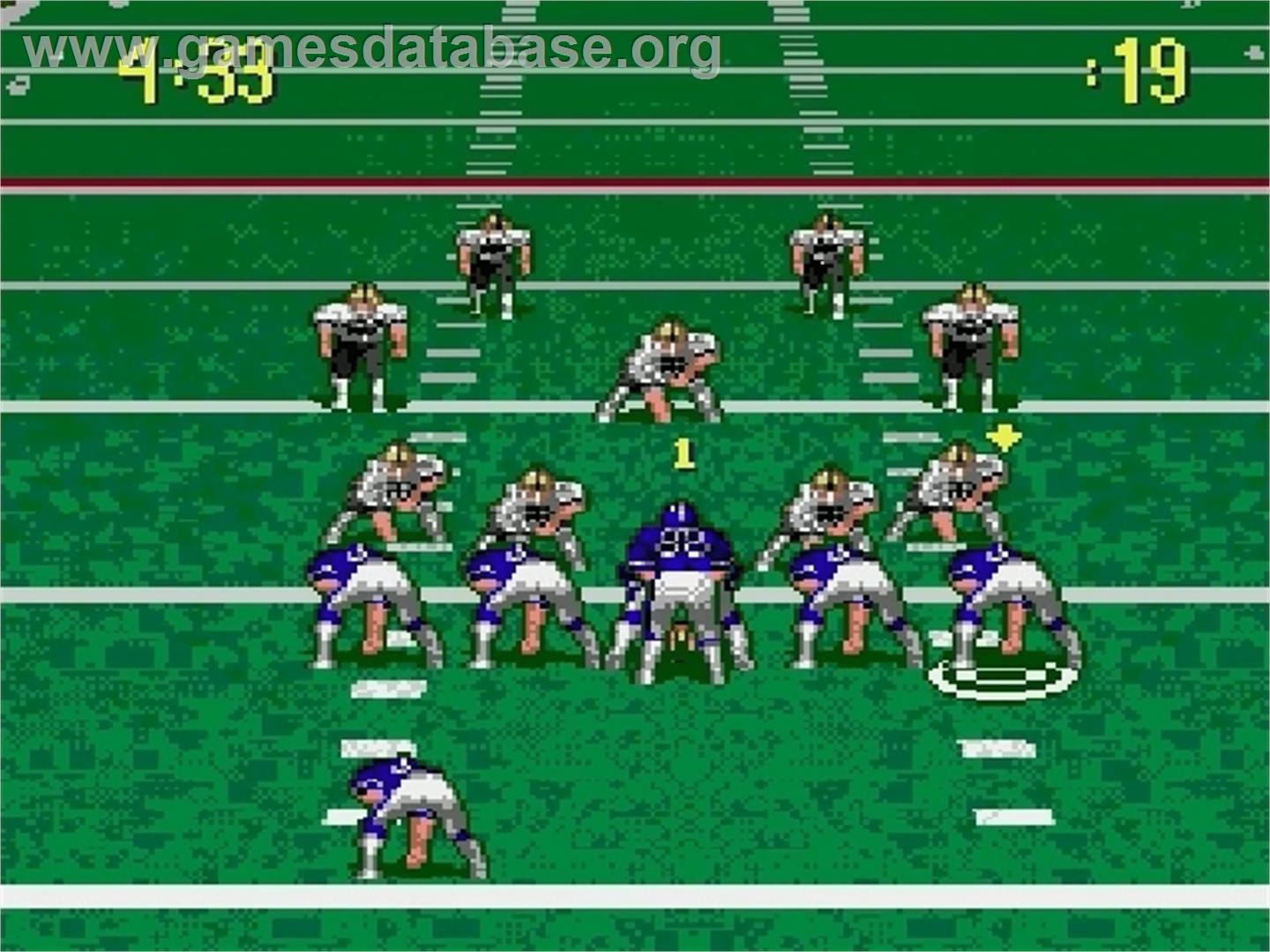 Pro Quarterback - Sega Genesis - Artwork - In Game