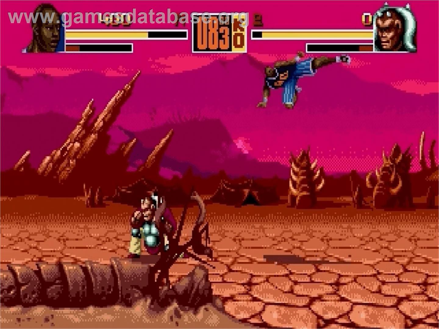 Shaq-fu - Sega Genesis - Artwork - In Game