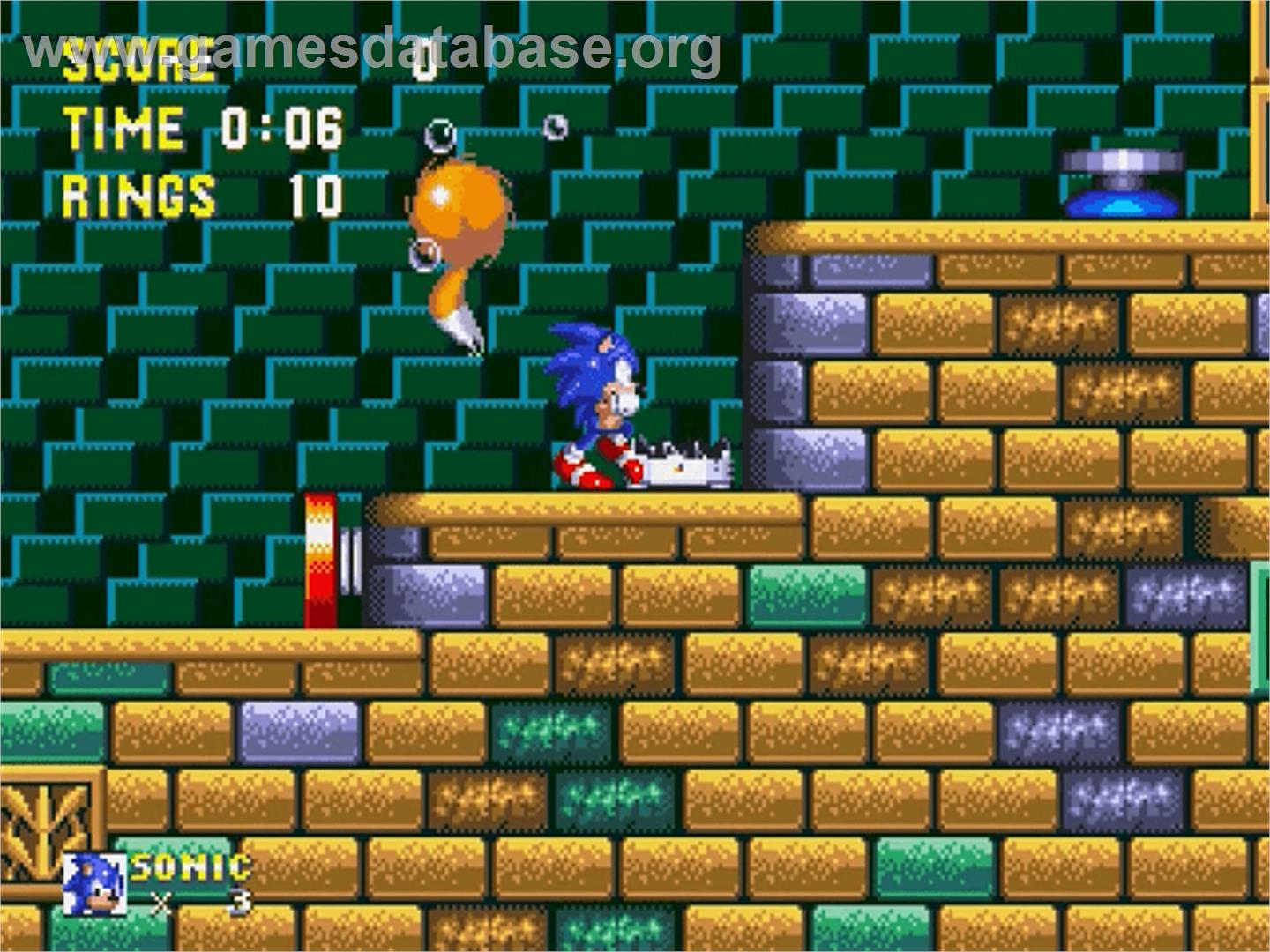 Sonic The Hedgehog 3 Limited Edition - Sega Genesis - Artwork - In Game