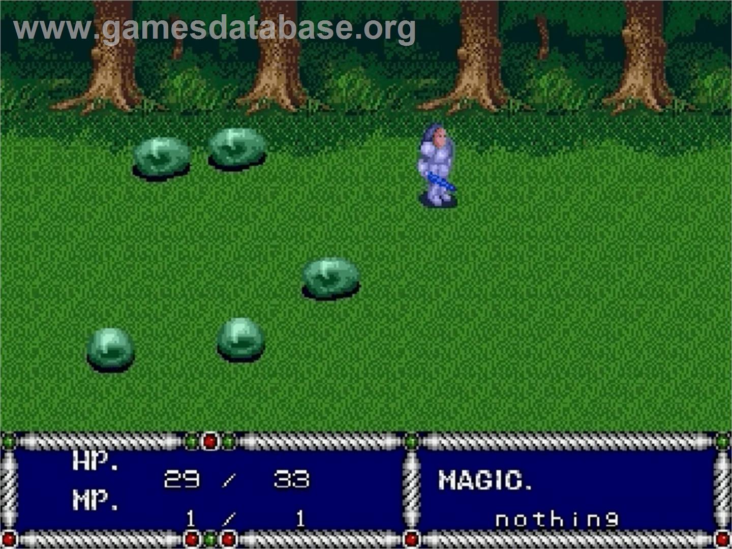 Sword of Vermilion - Sega Genesis - Artwork - In Game