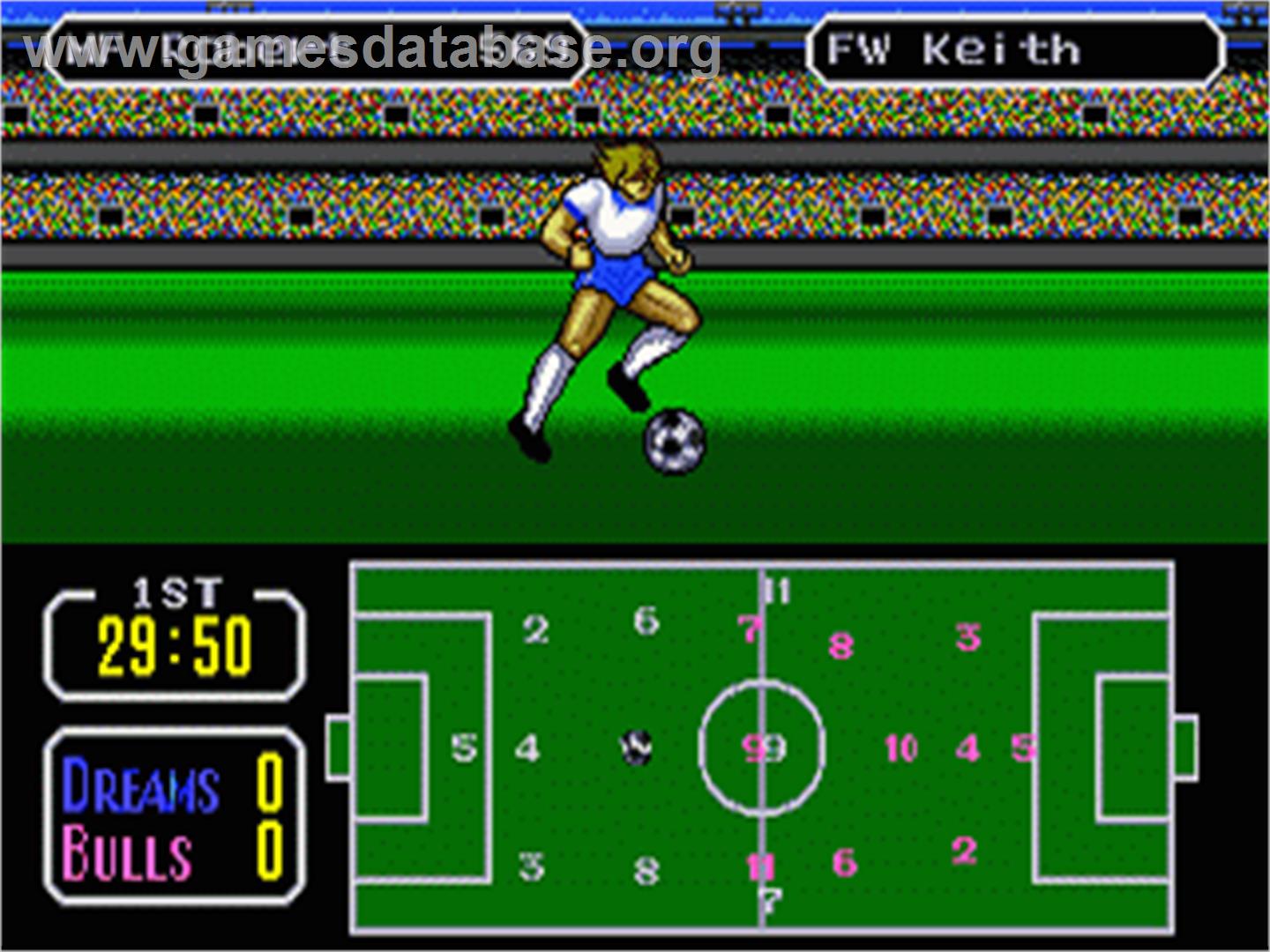 Tecmo Cup Football Game - Sega Genesis - Artwork - In Game