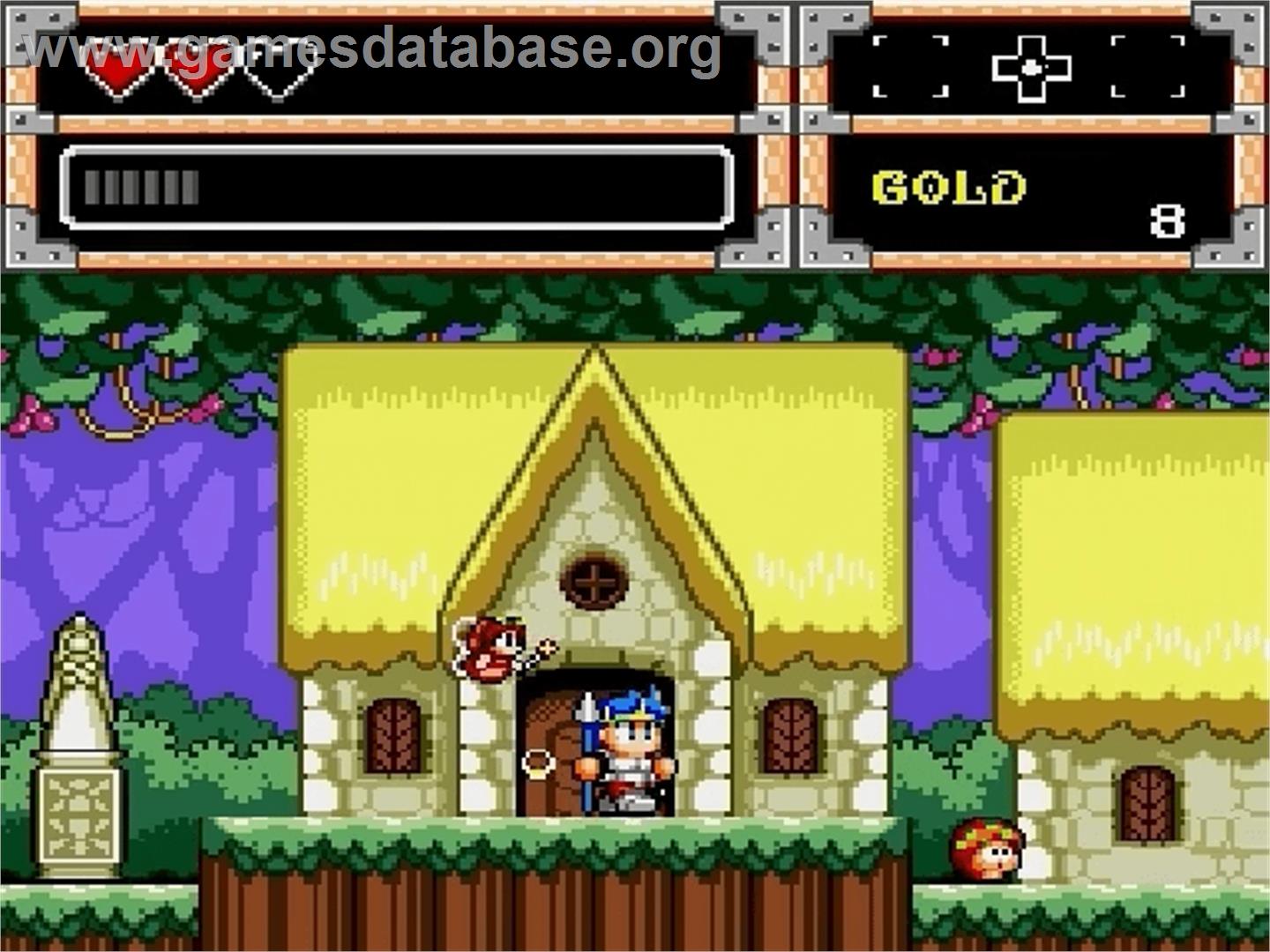 Wonder Boy in Monster World - Sega Genesis - Artwork - In Game