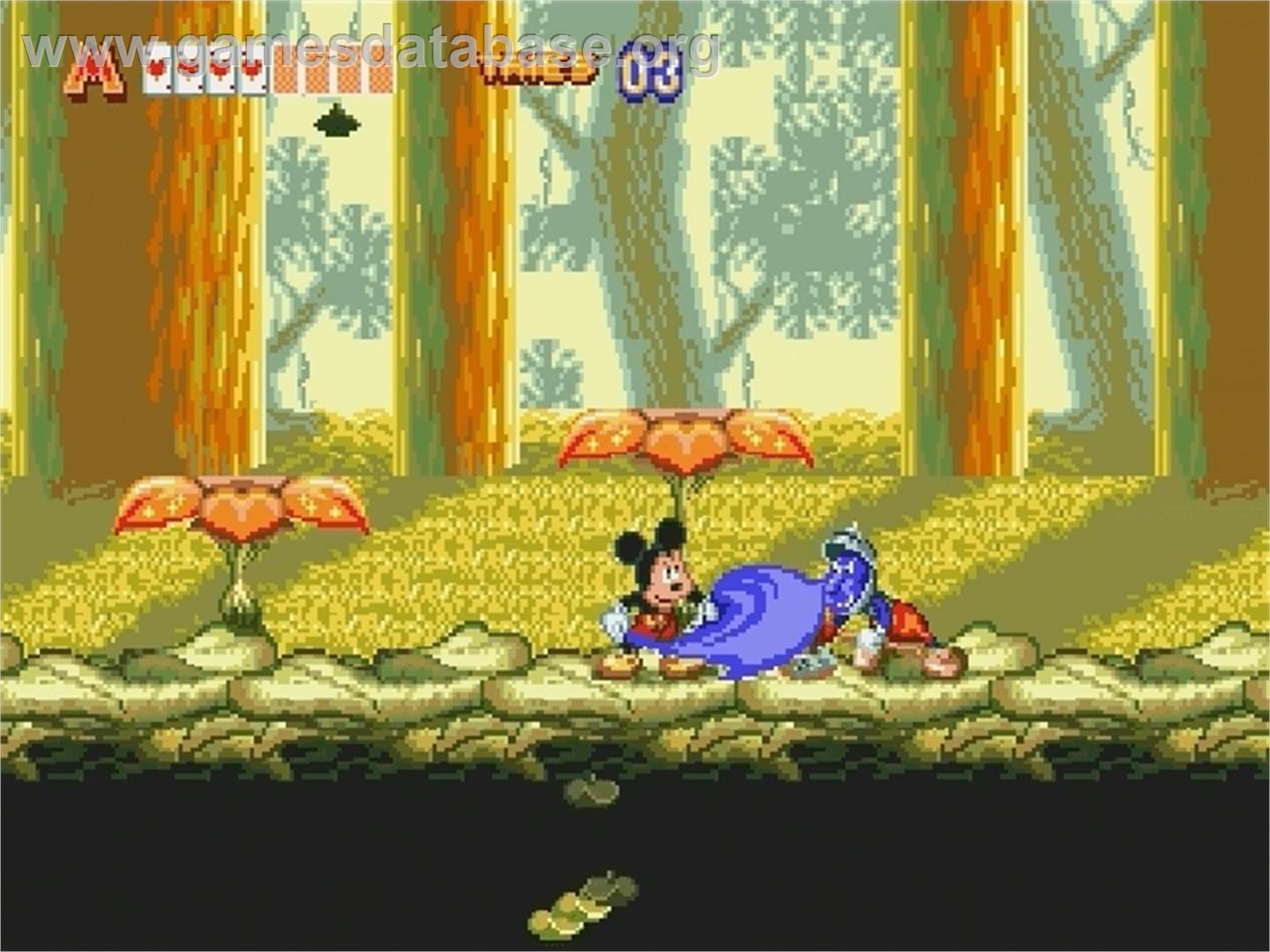 World of Illusion starring Mickey Mouse and Donald Duck - Sega Genesis - Artwork - In Game