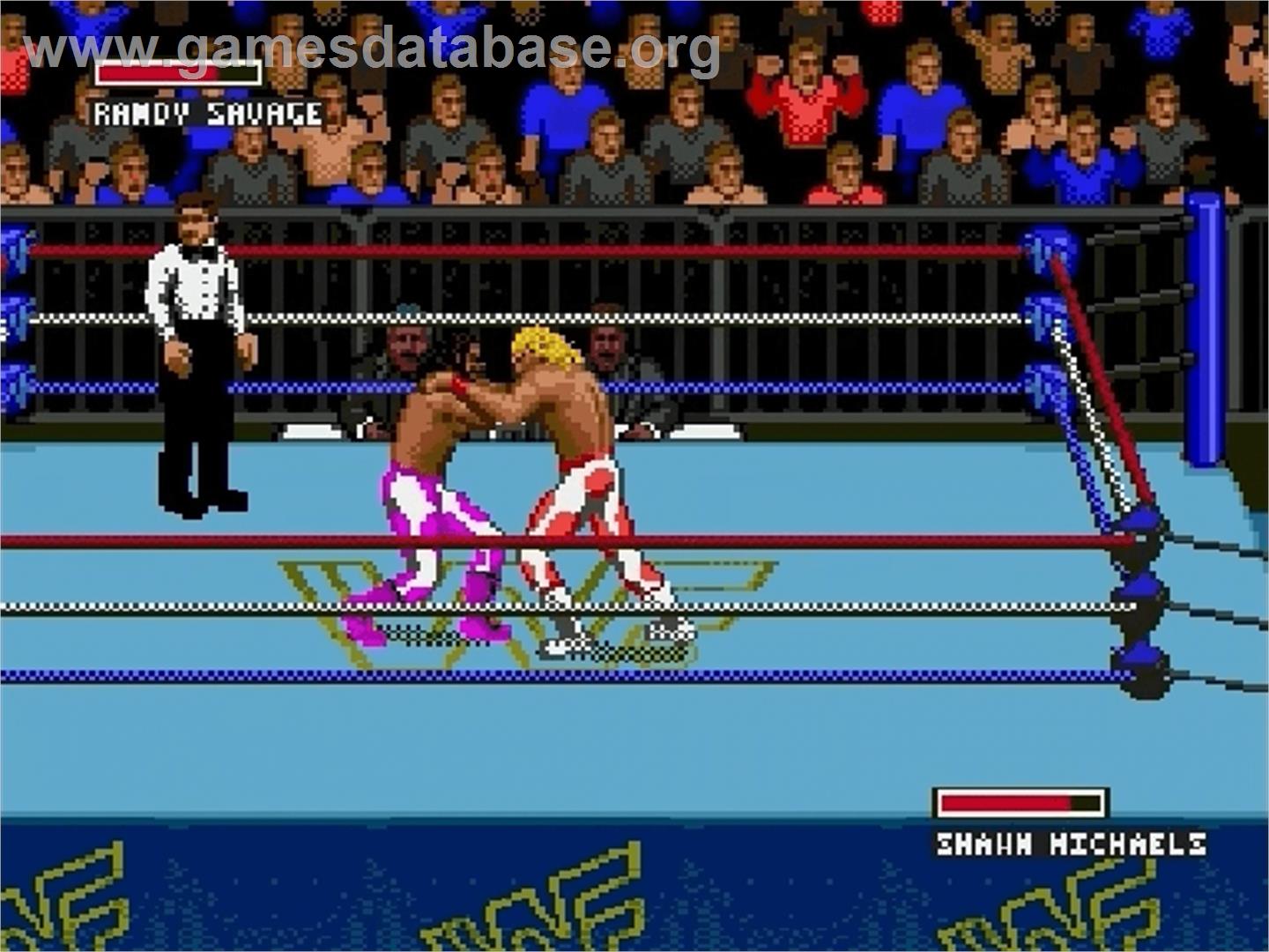 Wwf Super Wrestlemania - Sega Genesis - Artwork - In Game