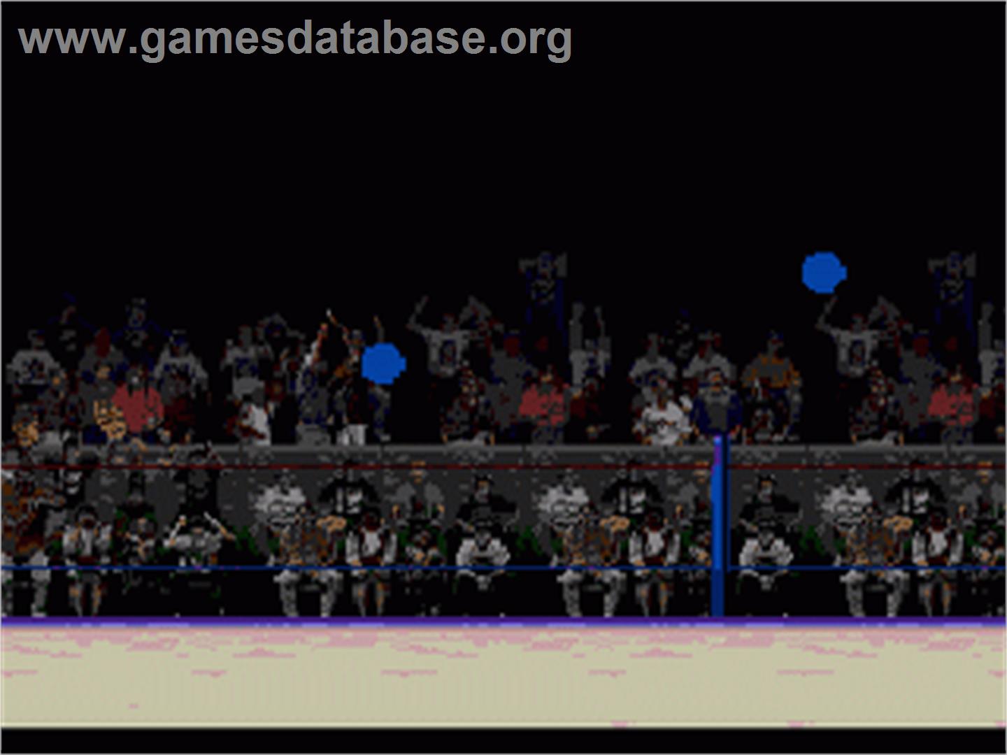 Wwf Wrestlemania - The Arcade Game - Sega Genesis - Artwork - In Game